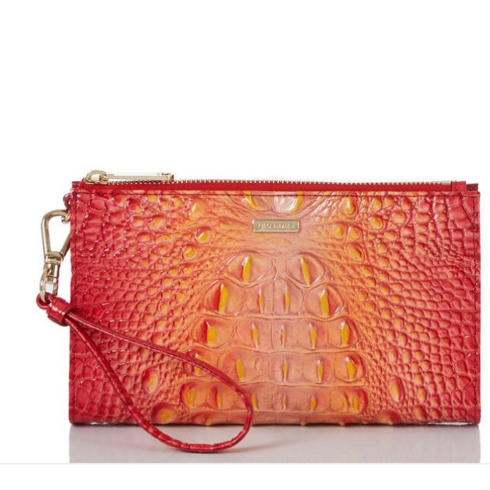 Brahmin Daisy infusion